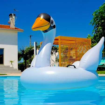 Dream Big * Barcelos