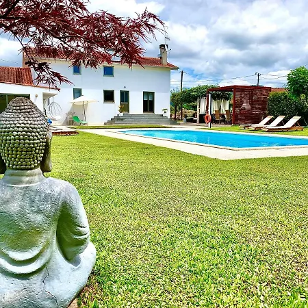 Dream Big Nyaraló